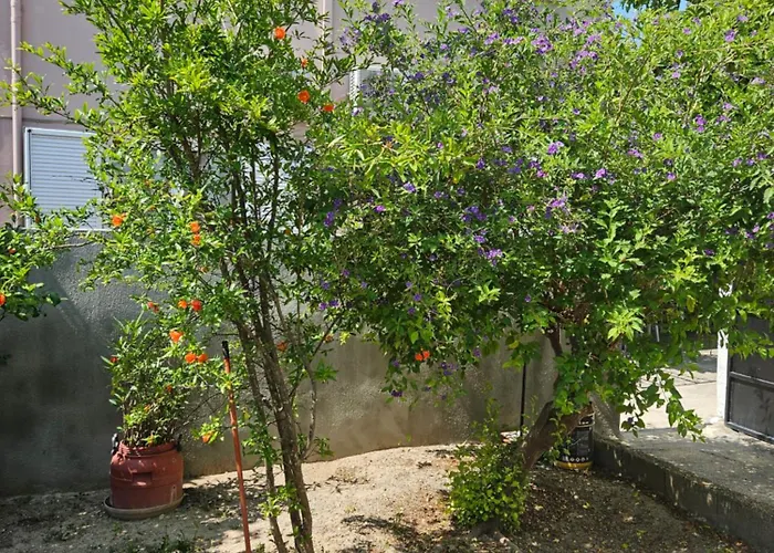 Annoula Penzion Archangelos (Rhodes)